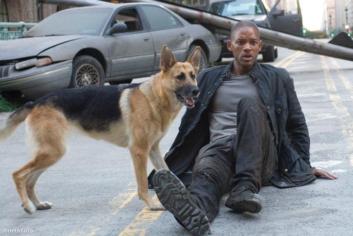 Will Smith a Legenda vagyok című film kutyaszínészét méltatja