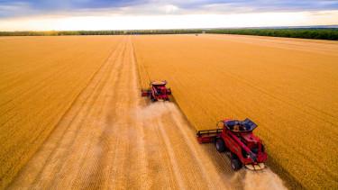 Oroszország fél millió hektár gabonaföld újravetésére kényszerül