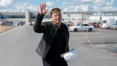 Elon Musk AI startupjának sikere tovább lökte az Nvidia részvényeit