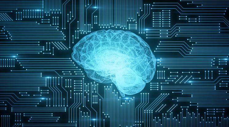 Az emberi és mesterséges intelligencia: alapvető különbségek és együttműködés
