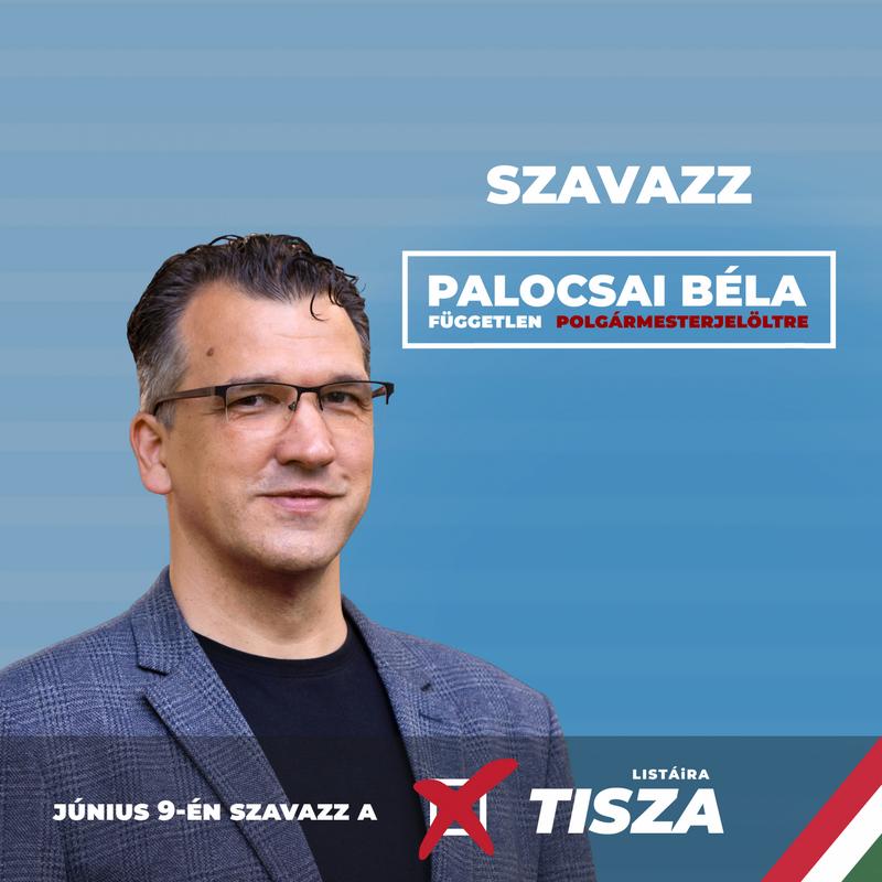 Palocsai Béla és a Tisza Párt nevének jogtalan használata