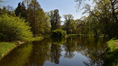 Rituális kelta tárgyakat találtak egy titkos lengyel tóban