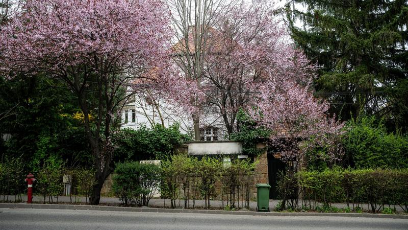 Eladó Szerb Antal egykori otthona: szecessziós villa vár gazdára