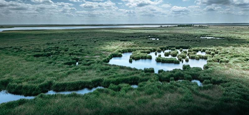 A Kúria a Greenpeace mellett döntött a Fertő tó védelmében