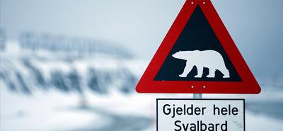 Norvégia nemzetbiztonsági okokból blokkolta a kínai területvásárlást a Spitzbergákon