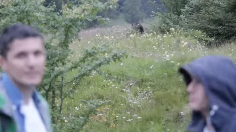 Erdőőr lőtte meg kollégáját medvetámadás közben Szlovákiában