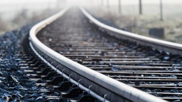 Fa dőlt a sínekre: Késések a Budapest-Vác vasútvonalon