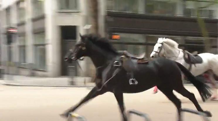 Pánik London utcáin: elszabadult lovak vágtattak a belvárosban