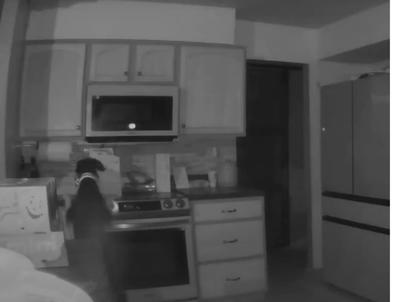 Kutya kíváncsisága okozott lakástüzet Colorado Springsben