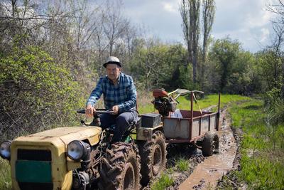 Az idősebb generáció dominálja a magyar agrárium vezetői pozícióit