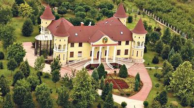 Bócsi-kastély: Kádár János egykori sofőrjének luxus otthona új kezekben