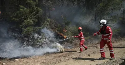 Görögországban erős széllel terjedő erdőtüzek okoznak készültséget