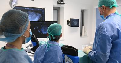 Műtéti várólisták hosszabbodnak Magyarországon: térdprotézisre vár a legtöbb beteg