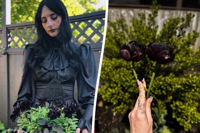 A fekete virágok birodalma: Chloe Hurst különleges kertje