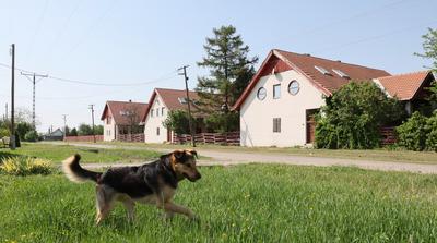 A battonyai gyermekfalu tíz éve szellemtanya