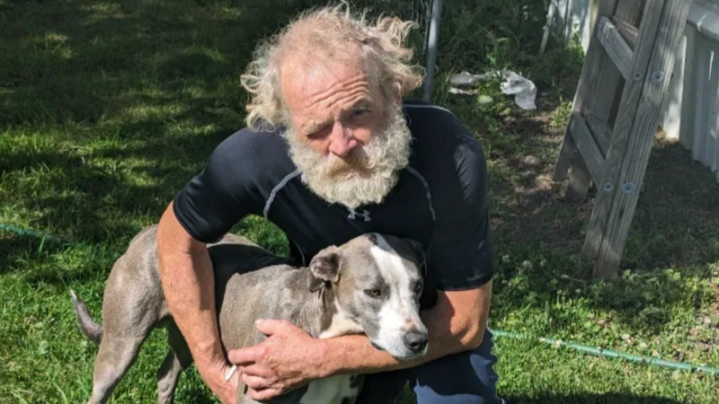 Blue, a hős kutya: 7 kilométert tett meg, hogy megmentse sérült gazdáját