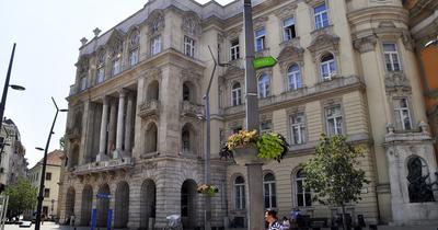 Melyik a legnépszerűbb magyar egyetem? Itt a rangsor!