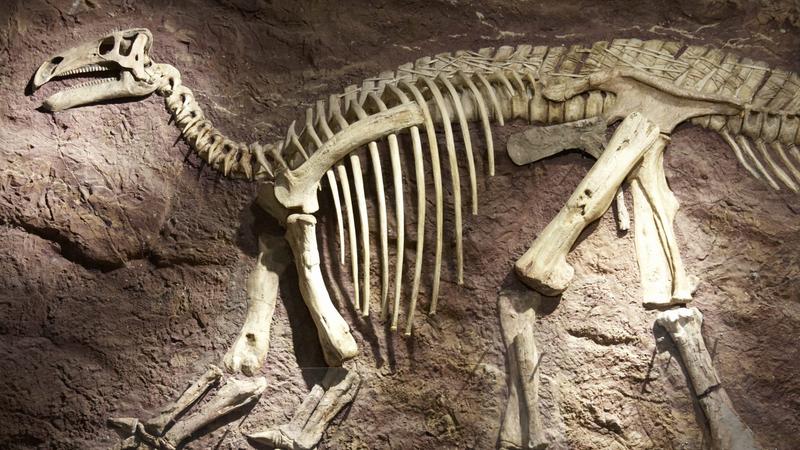 Egyesült Királyságban találták meg a legteljesebb dinoszaurusz csontvázat