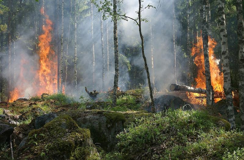 Spanyolországban a nyár előtt kitört az első jelentős erdőtűz