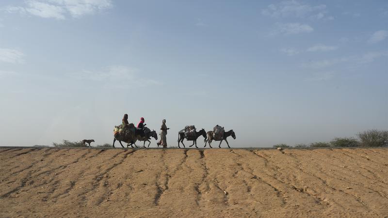 Utazás a szudáni határig – Egy riporter élményei Csádból