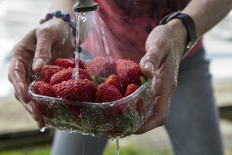 Mérgező vegyületek az eperben és az ivóvízben az Egyesült Királyságban