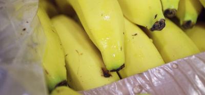 Kokain a banános dobozokban – Drogfogás a Lidl berlini üzleteiben