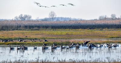 Hortobágyon nyílik meg az első magyar madárszínház