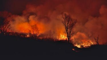 Hatalmas erdőtűz pusztít Észak-Kaliforniában: A lángok mérete megduplázódott