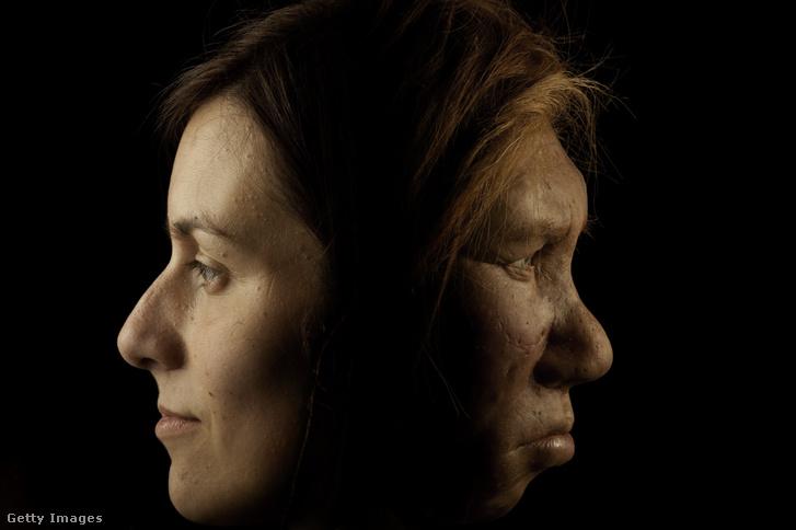 Az emberi arc fejlődése: a múlt titkai és a jövő ígéretei