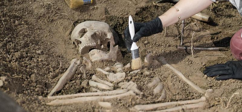 4500 éves sír felfedezése rejtélyeket tár fel Európa ősi lakóiról
