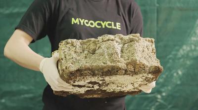 Gombák újrahasznosítják a gumiabroncsokat: a Mycocycle zöld megoldása