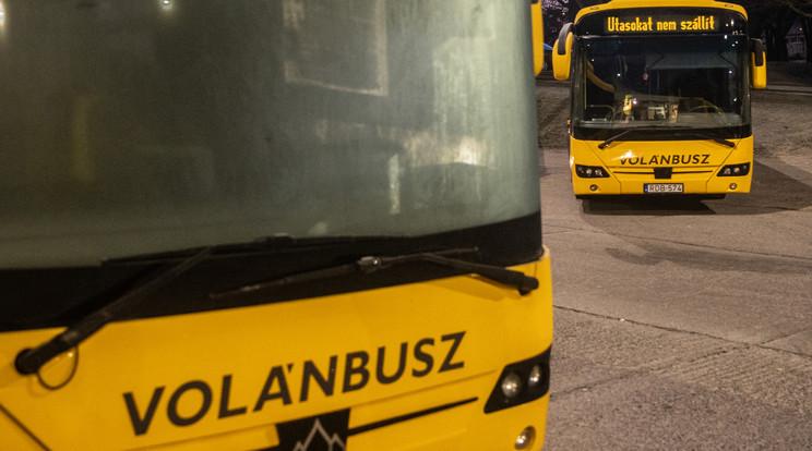 Szegedi buszsofőr életét mentették meg azonnali beavatkozással