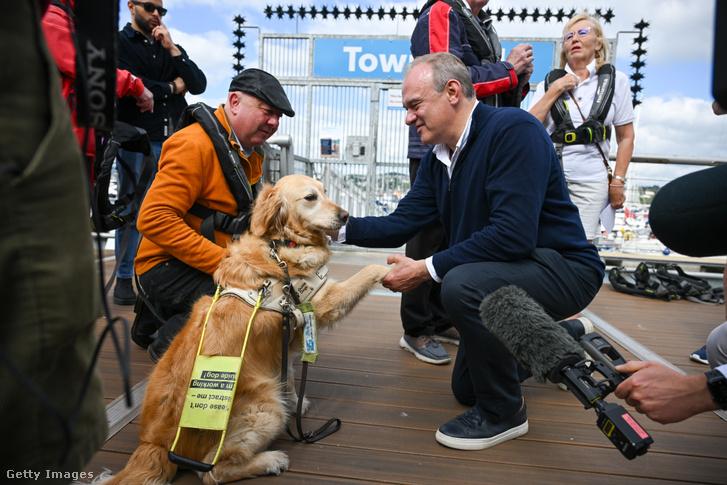 Jennie, a vakvezető kutya, aki sztárrá vált a brit Parlamentben
