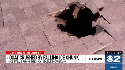 Kecske halálát okozhatta egy repülőgépről leeső jégdarab Utahban