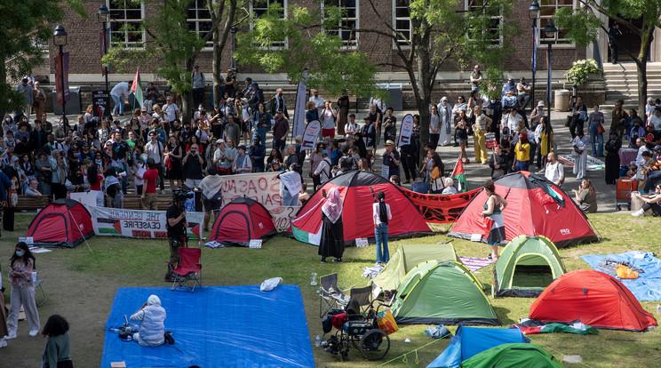 Brit egyetemisták sátortáborokkal tiltakoznak a Gáza elleni akciók ellen