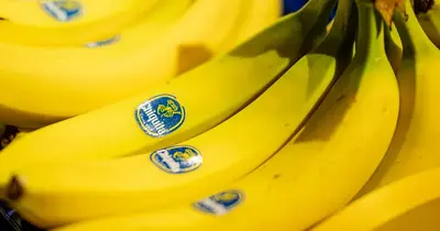 Chiquita kártérítést fizet a kolumbiai áldozatok családjainak