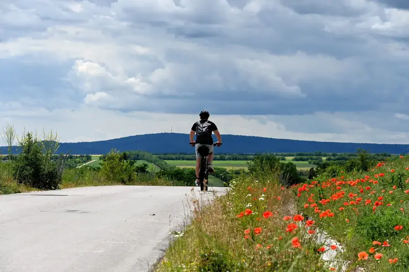 Elektromos kerékpárral a Balatonig: gyors és kényelmes utazás