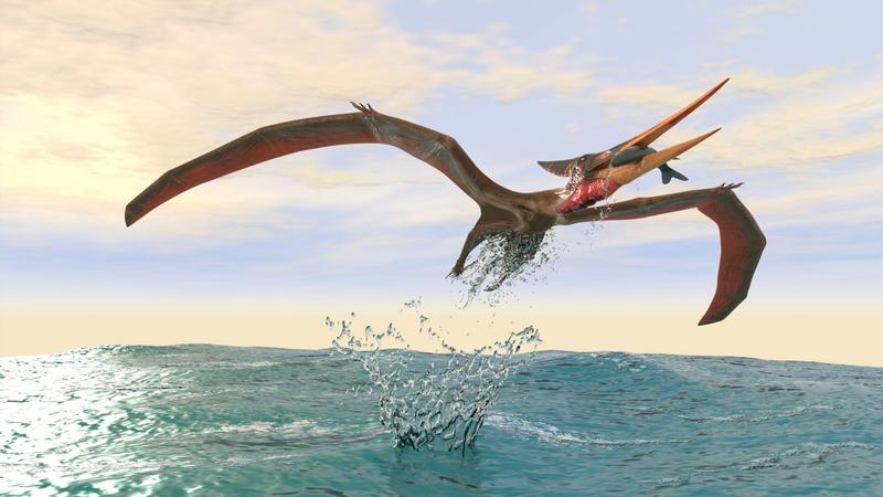 Felfedezték egy hatalmas ősi repülő ragadozó maradványait Ausztráliában