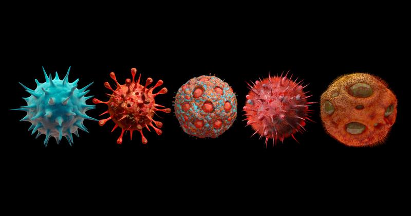 Az új FLIRT koronavírus-variáns nyáron érheti el csúcspontját