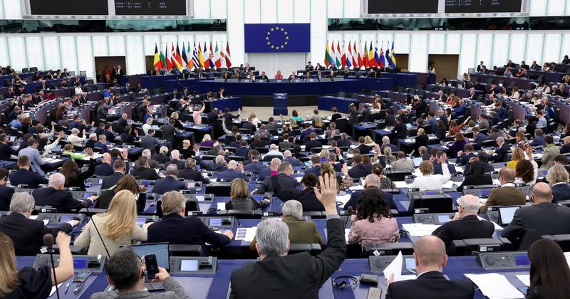 Szlovák EP-képviselő galambot engedett szabadon a parlamentben