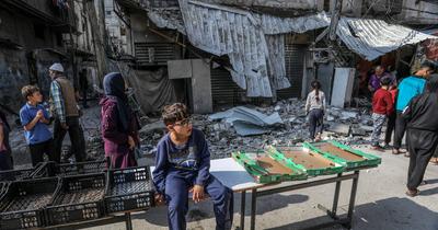 A Gázai konfliktus tragédiája: 19 ezer árva és élelmiszerhiány