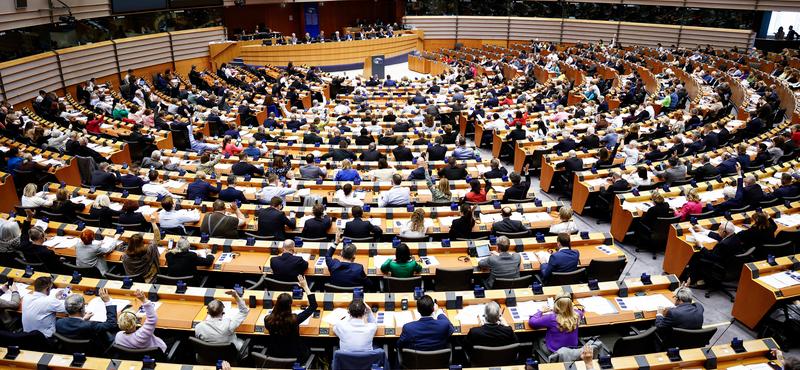 A magyarok többsége az EP-képviselőktől a kormány álláspontjának képviseletét várja