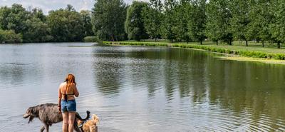 A Tisza-tó párolgása rekord szintet ér el a kánikulában