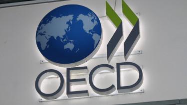 Enyhe gazdasági növekedés az OECD-országokban az év elején