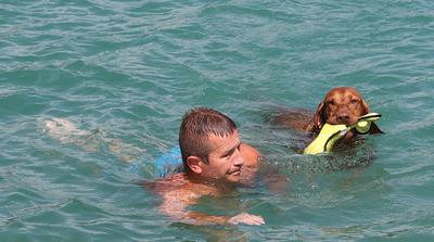 Fedezze fel Magyarország kutyabarát strandjait: a tökéletes nyári kaland