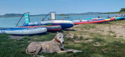 Fedezze fel Magyarország kutyabarát strandjait a nyáron