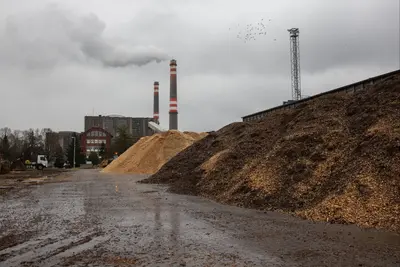 A biomassza használata a klímaváltozás ellen: nem a csodamegoldás