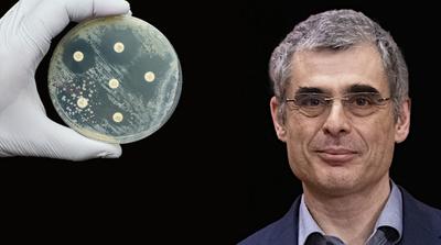 Az antibiotikumok jövője veszélyben: Pál Csaba aggodalmait fejezi ki