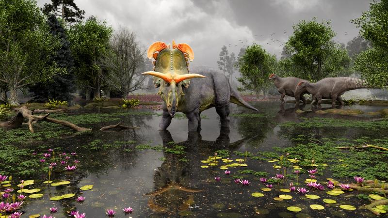 Lokiceratops rangiformis: Új dinoszauruszfaj kapta a mitológiai Loki nevét