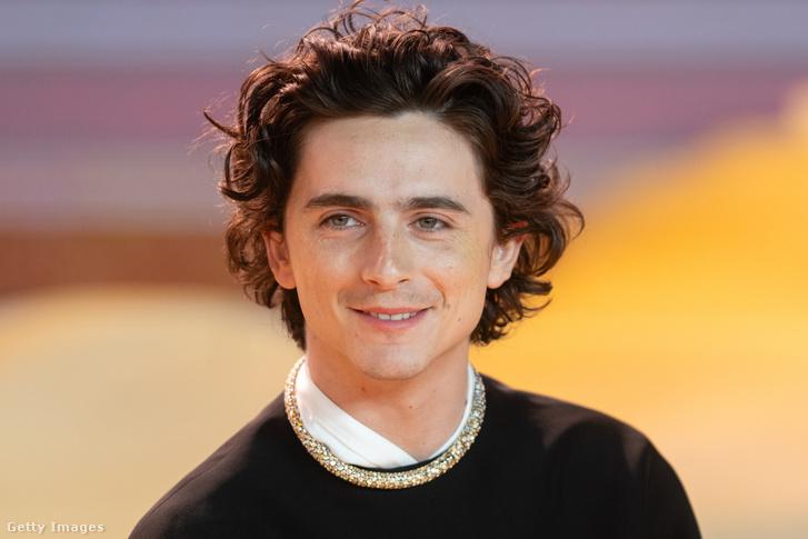 Timothée Chalamet váratlan megjelenése a hasonmásversenyen